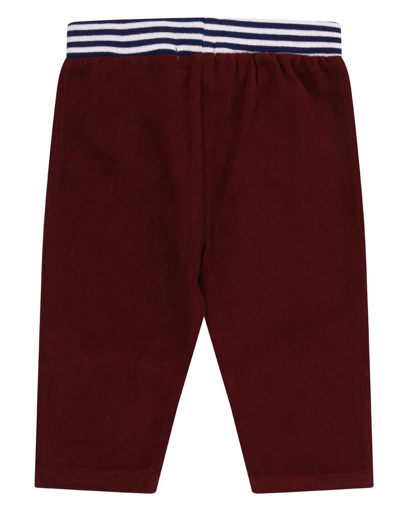 Character Knee Little Bear Set